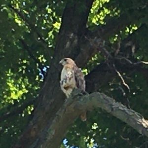 Meet your Posher, Roula